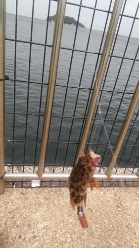 うみかぜ公園