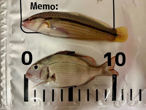 相馬沖