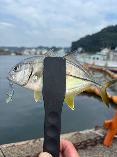 稲生沢川河口