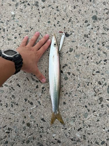 恵曇港