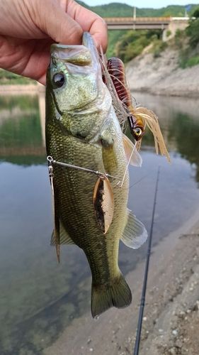 ひなち湖