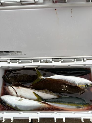 相模湾