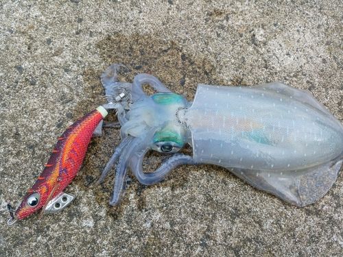 網代浜海水浴場
