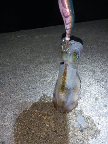 男鹿半島