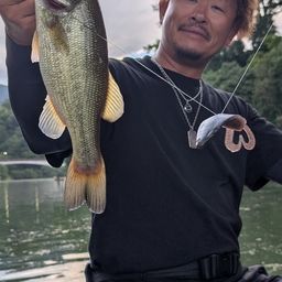 ブラックバス