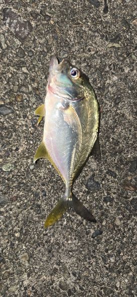 メッキ