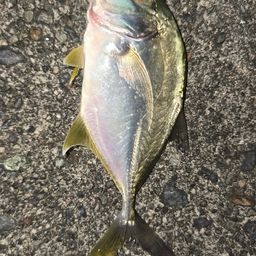 メッキ