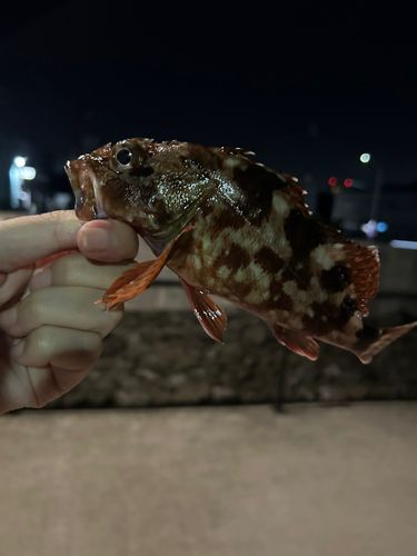金沢水際線緑地（福浦岸壁）