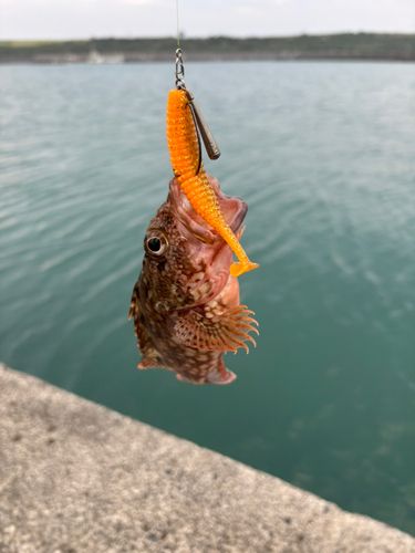 御前崎港周辺