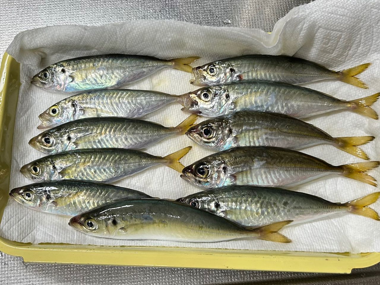 DAIWA 21リバティクラブ ショートスイング 10号-240・Nの最安値