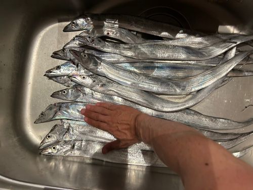 和歌浦湾