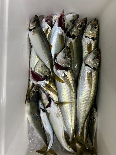 玄界灘