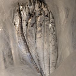 タチウオ