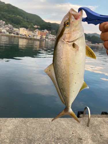 賀田湾