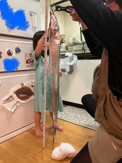 タチウオの釣果