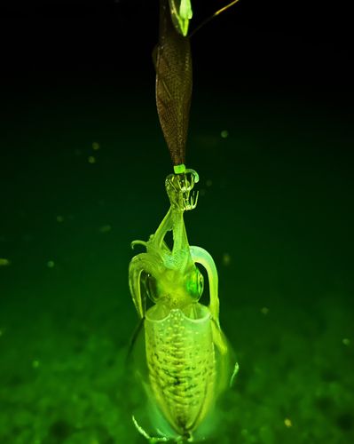 五ヶ所湾