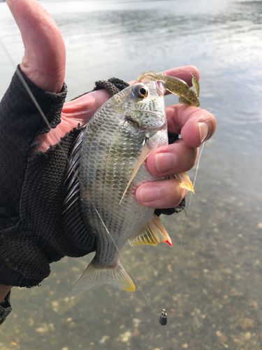 浜名湖