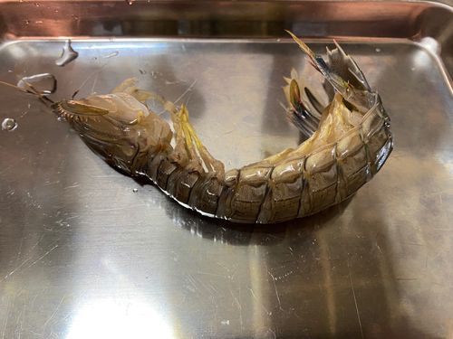 波崎新港