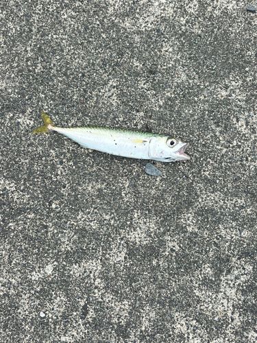 石狩湾新港