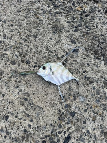 垂水新港