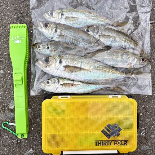 釣果