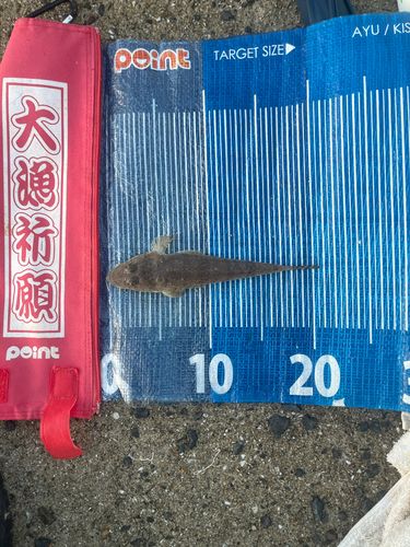 八代海