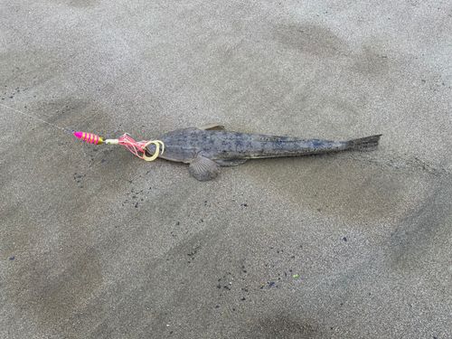 北上川河口