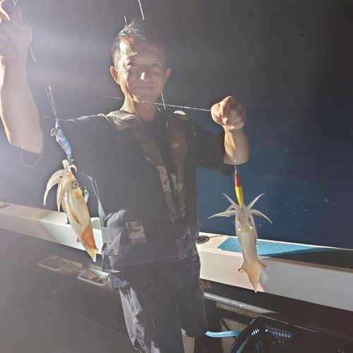ヤリイカの釣果