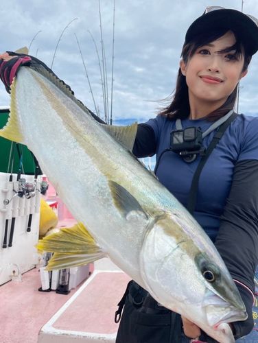 ヒラマサの釣果