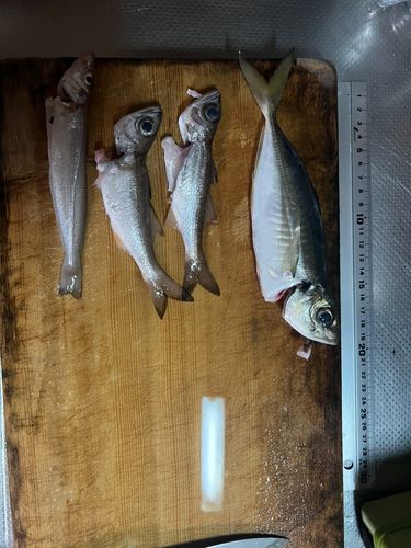 本牧海づり施設