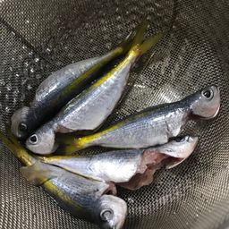 タカベ