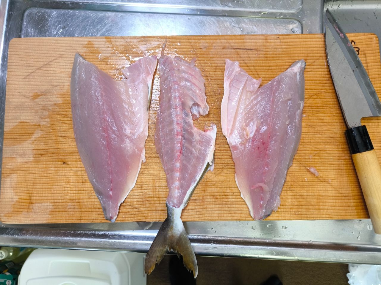 ショゴ