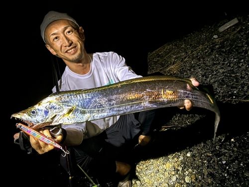 タチウオの釣果