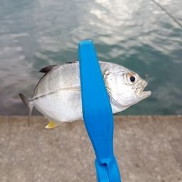メッキ