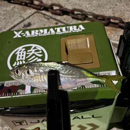 アジ