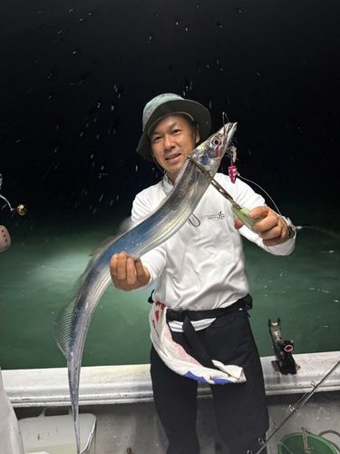 タチウオの釣果