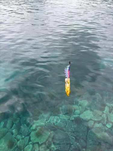 西ノ島