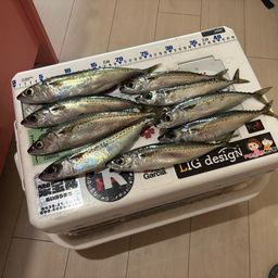 サバ