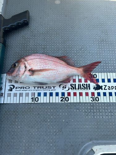 セントレア沖