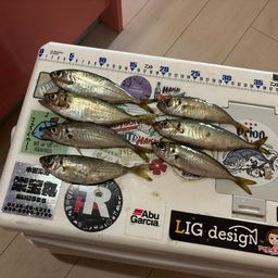 アジ