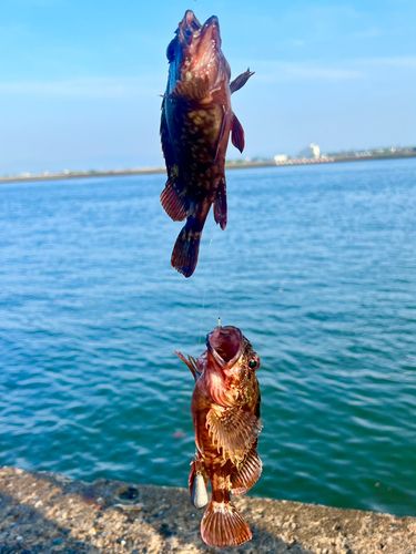 表浜名湖