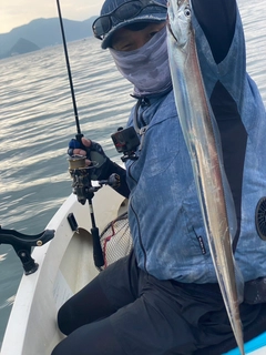 タチウオの釣果