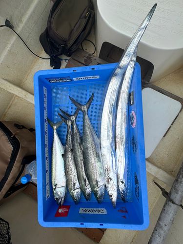 内浦湾（沼津）