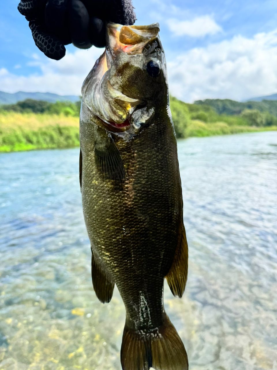 スモールマウスバス