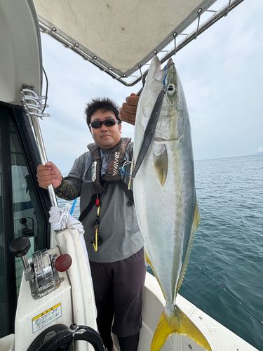 ブリの釣果