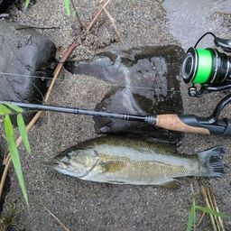 スモールマウスバス