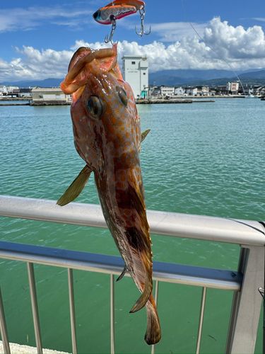 魚津漁港