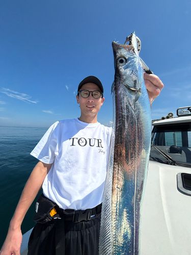 タチウオの釣果