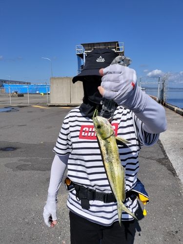 青森湾