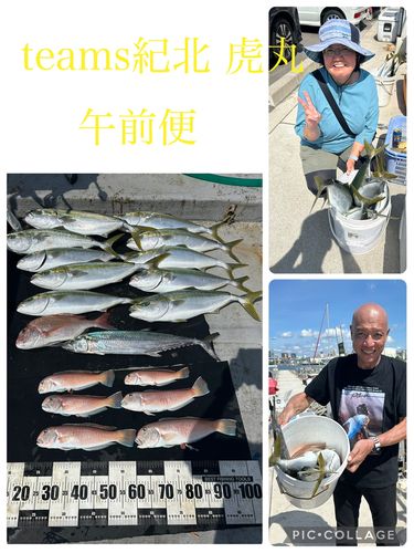 メジロの釣果